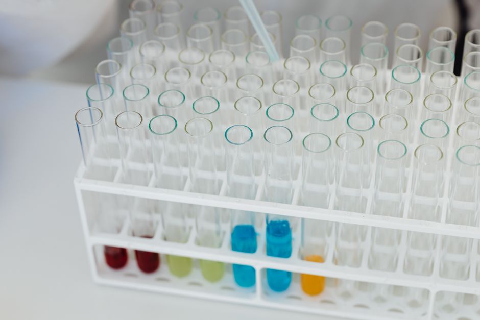 Transparent Labs vs. Legion Athletics: Comparing Supplement Brands on Third-Party Testing and Ingredient Quality