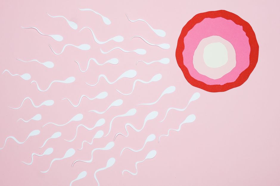 TRT and Fertility After 50: What the Research Says About Semen Analysis, HCG, and Sperm Banking Before Starting Therapy